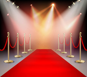 "The VIP/Celebrity Package"