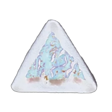 Travel Rejuvenizer®