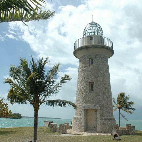 The Program Plus - Lighthealing